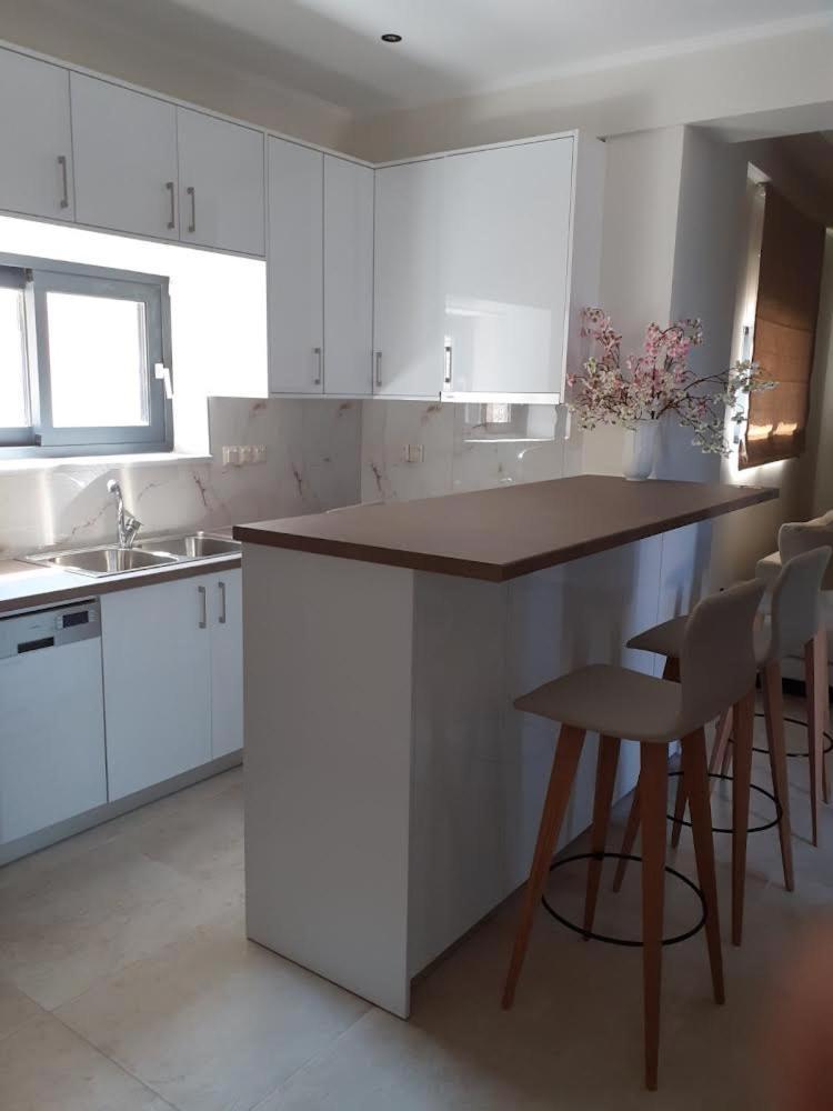 Ionian Stone Luxury Villa Nikiana Dış mekan fotoğraf
